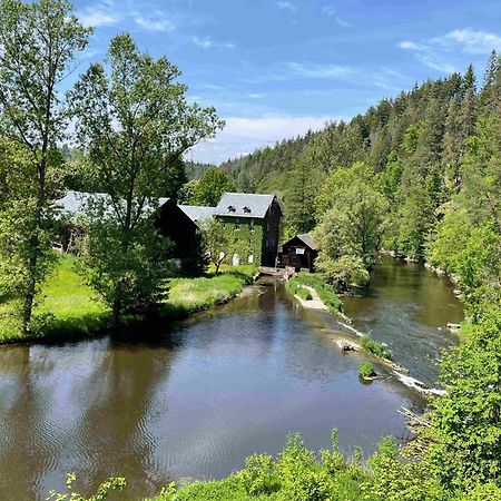Chalet-Ferienwohnung Schlossblick, 51 Qm, Wellness/Fitness/Sauna - Bergroedelhof Feilitzsch Exteriör bild