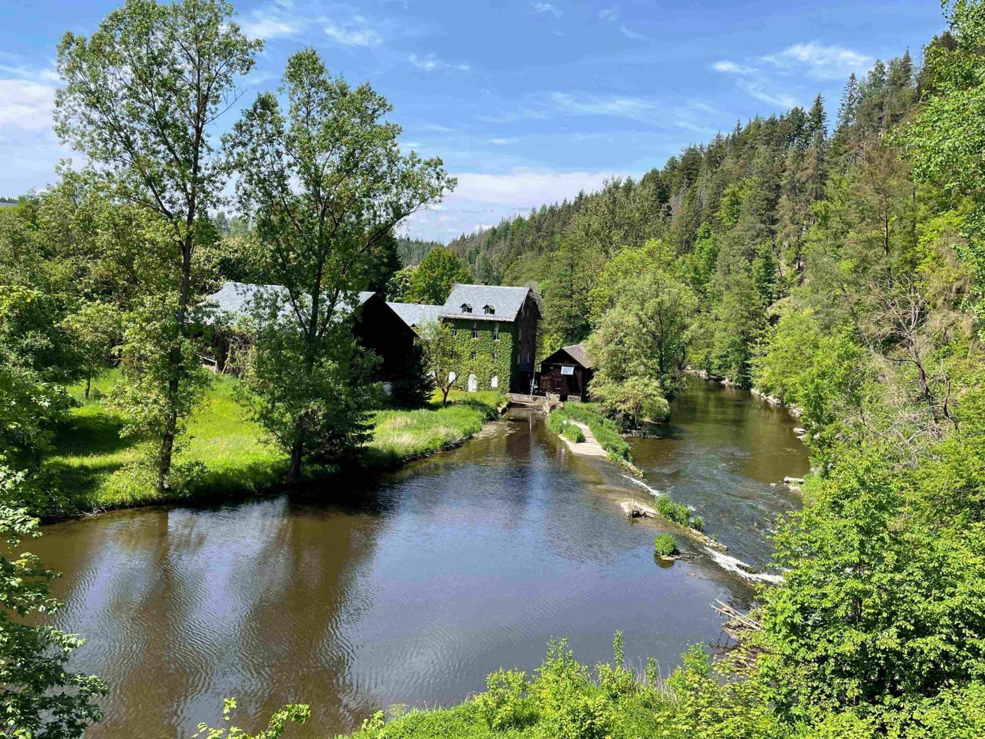 Chalet-Ferienwohnung Schlossblick, 51 Qm, Wellness/Fitness/Sauna - Bergroedelhof Feilitzsch Exteriör bild
